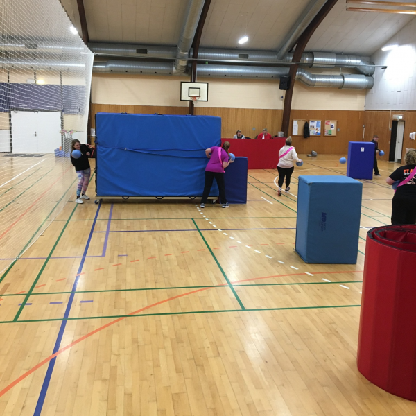 FunFit - Kvinder tryout image