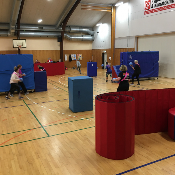 FunFit - Kvinder tryout image