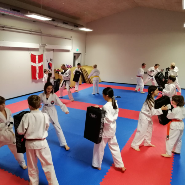 taekwondo-for-bade-begyndere-og-ovede-fra-8-ar-og-op-1636887779
