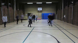 Linedance (let øvet)