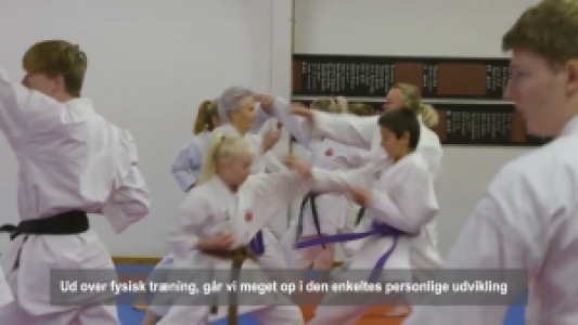Karate voksne begynder