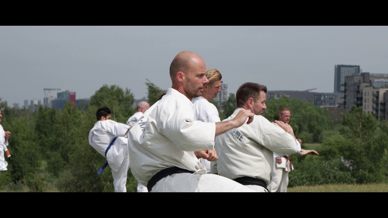 Ungdom og Voksen begynder Ashihara Karate Frederiksberg