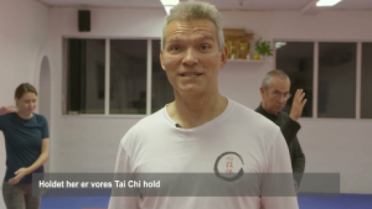 Tai Chi (yang stil)