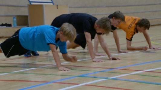 Ungdom Niveau 3 (Øvede)