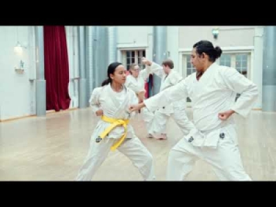 Karate, voksenhold