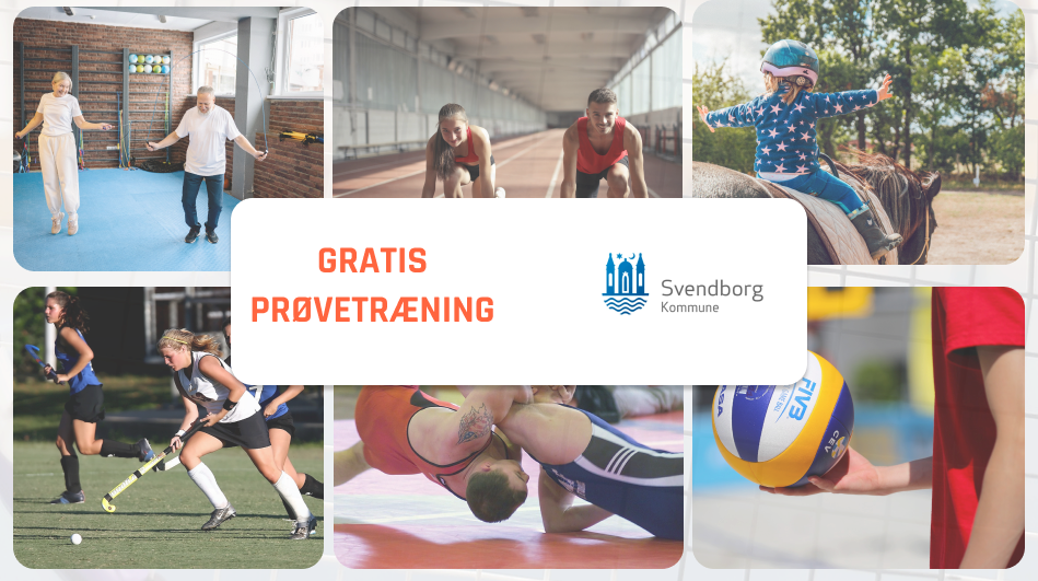 Svendborg image background