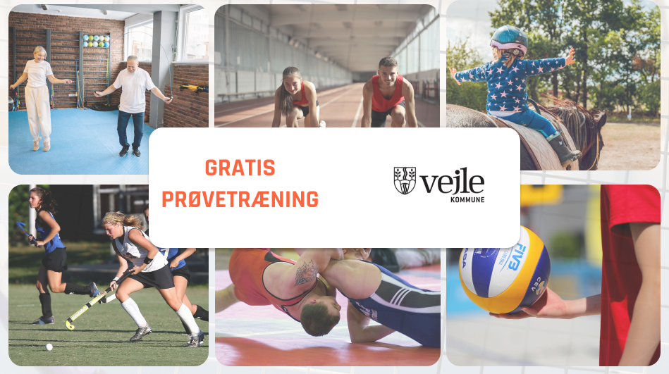 Vejle image background